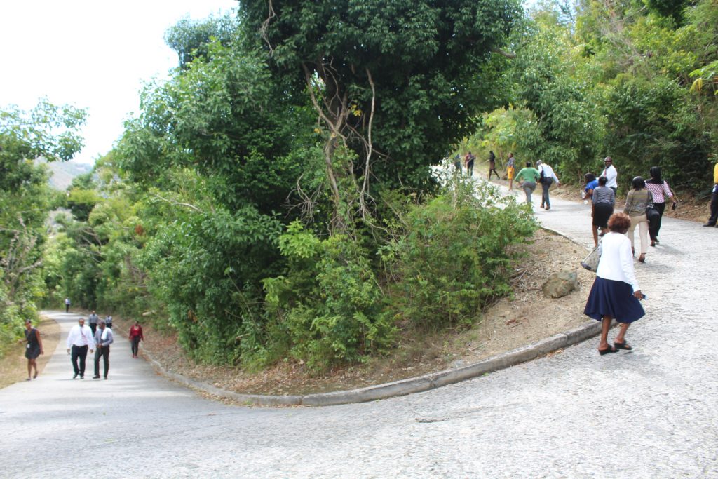 people walking up a hill