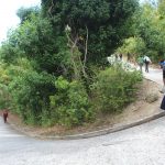 people walking up a hill
