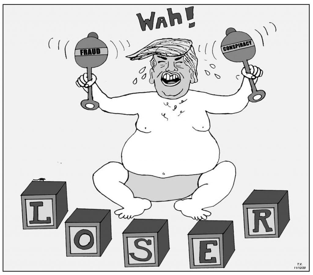 Cartoon (November 19, 2020)